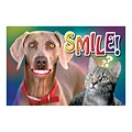Medical Arts Press® Dental Standard 4x6 Postcards; Smile, Dog and Cat