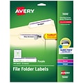 Avery TrueBlock Laser/Inkjet File Folder Labels, 2/3 x 3 7/16, Purple, 750 Labels Per Pack (5666)