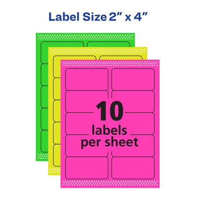 Avery Laser/Inkjet Identification Labels, 2" x 4", Assorted Neon Colors, 10/Sheet, 12 Sheets/Pack (6481)