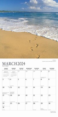 2024 Plato By the Sea 12" x 24" Monthly Wall Calendar (9781975466244)