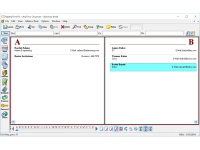Individual Software AnyTime Organizer Standard 16 for 1 User, Windows, Download (IND945800V062)