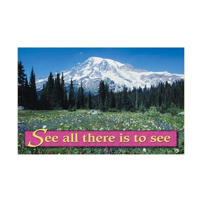 Medical Arts Press® Eye Care Standard 4x6 Postcards; See All There Is To See