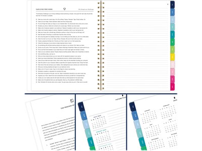 2024-2025 AT-A-GLANCE Simplified by Emily Ley Happy Stripe 8.5" x 11" Academic Weekly & Monthly Planner, Poly Cover