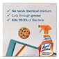 LYSOL® Brand Kitchen Pro Antibacterial Cleaner, Citrus Scent, 22 oz Spray Bottle