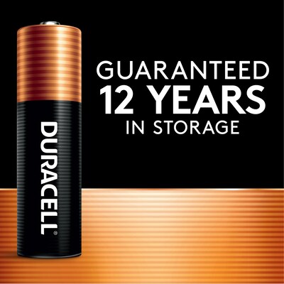 Duracell Coppertop AA Alkaline Battery, 24/Pack  (MN1500BKD)