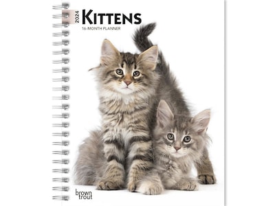 2024 BrownTrout Kittens 6 x 7.75 Weekly & Monthly Engagement Planner, Multicolor (9781975468880)