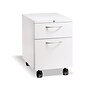 HON Flagship 2-Drawer Mobile Vertical File Cabinet, Letter Size, Lockable, Designer Weight (HON15923ALPJW)