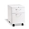 HON Flagship 2-Drawer Mobile Vertical File Cabinet, Letter Size, Lockable, Designer Weight (HON15923