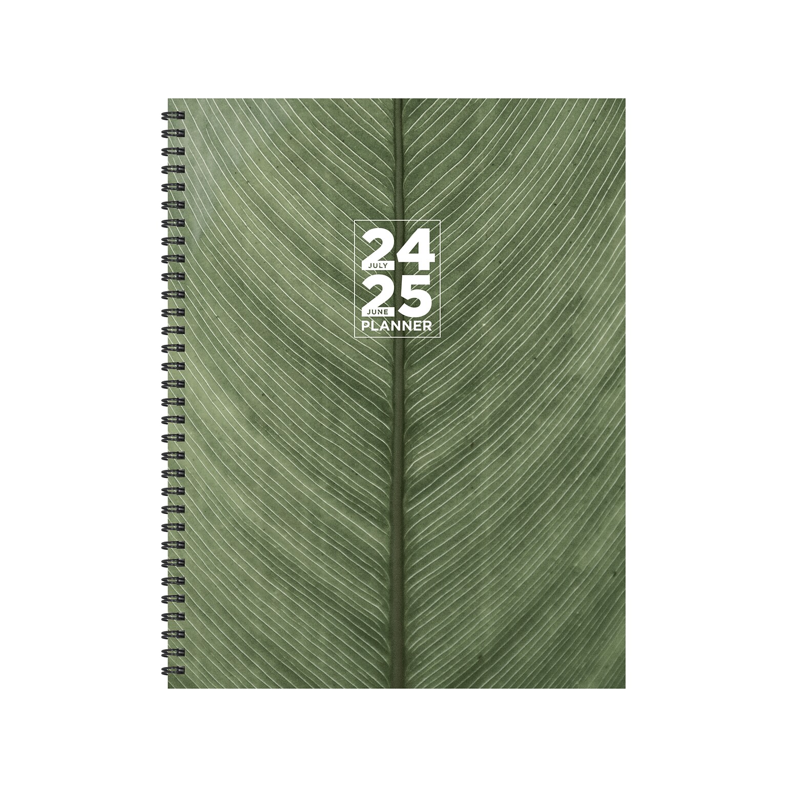 2024-2025 TF Publishing Elements Series Living Leaf 8.5 x 11 Academic Weekly & Monthly Planner, Paperboard Cover
