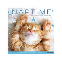 2024 Willow Creek Naptime (Cats) 12 x 12 Monthly Wall Calendar (34569)