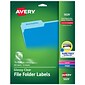 Avery TrueBlock Laser/Inkjet File Folder Labels, 2/3" x 3 7/16" Clear, 450 Labels Per Pack (5029)