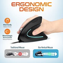 Delton Ergonomic 12 Optical USB Mouse, Black (DMERG12-U)