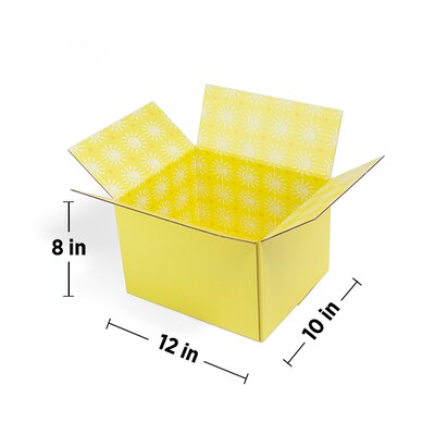 12" L x 10" W x 8" D Shipping Boxes, Double Wall, 2/Pack (2022025)