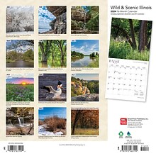 2024 BrownTrout Illinois Wild & Scenic 12 x 24 Monthly Wall Calendar (9781975463199)