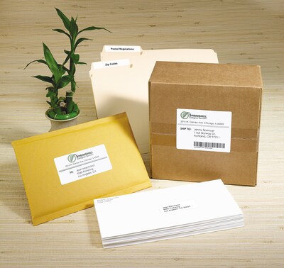 Avery EcoFriendly Laser/Inkjet Address Labels, 1" x 2-5/8", White, 30 Labels/Sheet, 100 Sheets/Box (48460)
