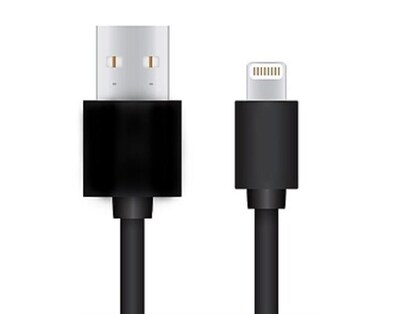 Lightning to USB Cable - 10 ft (3.05 M) MFI Certified Data Sync/ Charge Cord for iPad mini, iPhone 7