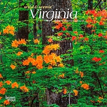 2024 BrownTrout Virginia Wild & Scenic 7 x 14 Monthly Wall Calendar (9781975465551)