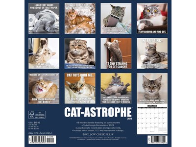 2024 Willow Creek Cat-Astrophe 12 x 12 Monthly Wall Calendar (32893)