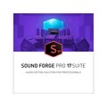 Magix SOUND FORGE Pro 17 Suite for 1 User, Windows, Download (639191910227)