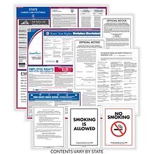 ComplyRight Federal, State and Public Sector (English) Labor Law Poster Set, South Carolina (EFEDSTC