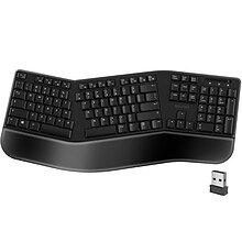 Delton KB200 Wireless Ergonomic Keyboard, Black (DKBERG24G8-WB)