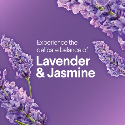 Clorox Scentiva Disinfecting Wipes, Tuscan Lavender & Jasmine Scent, 75 Wipes/Container, 6/Carton (60040CT)