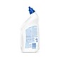 Lysol Professional Disinfectant Toilet Bowl Cleaner, Wintergreen Scent, 32 oz., 12/Carton (3624174278CT)