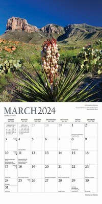 2024 Plato National Parks 7" x 14" Monthly Wall Calendar (9781975466107)