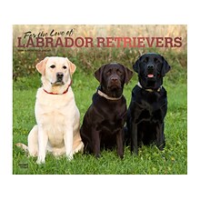 2024 BrownTrout For the Love of Labrador Retrievers 14 x 12 Monthly Wall Calendar (9781975468613)