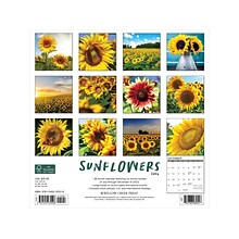 2024 Willow Creek Sunflowers 12 x 12 Monthly Wall Calendar (35528)