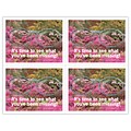Scenic Laser Postcards; See All There Is, 100/Pk