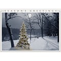 Holiday Expressions® Holiday Cards; All Is Bright, Self-Seal Envelopes