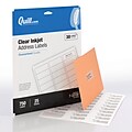 Quill Brand® Inkjet Address Labels, 1 x 2-5/8, Matte Clear, 750 Labels (Comparable to Avery 8660 & 18660)