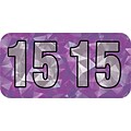 Medical Arts Press® Holographic End-Tab Year Labels; 2015, Violet