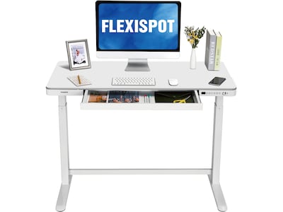 FlexiSpot EW8 48W Electric Adjustable Standing Desk, White (EW8W)