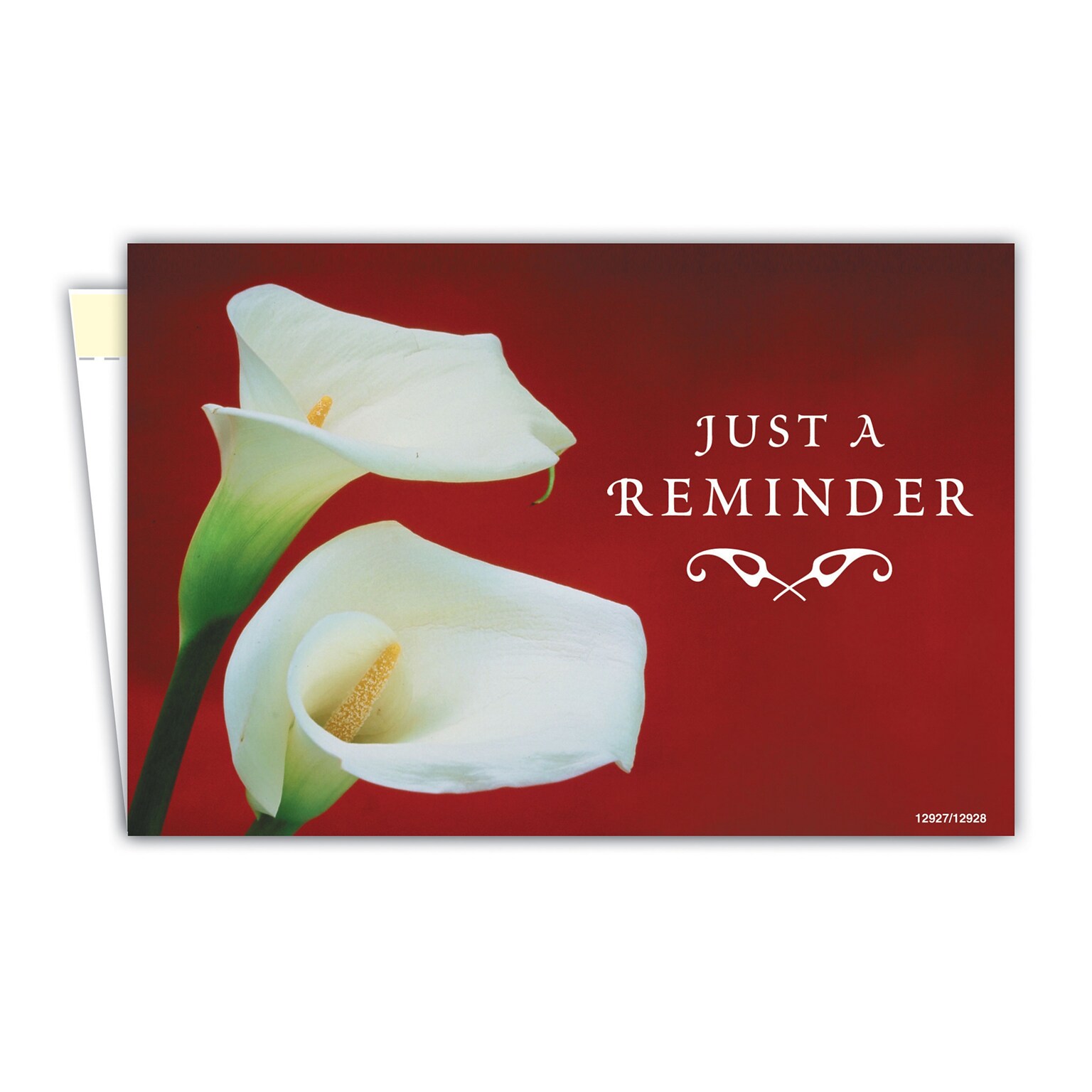 Custom Full Color PrivaCards™, 4 x 6 Folded Cards with Privacy Seal, White Silk 100# Cover, 2-Sided, 100/Pk
