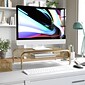 Martha Stewart Ryder 13"W Iron Mesh Rectangular Desktop Monitor Stand Riser, Gold (HHOHD04GLD)