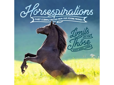Horsespirations, Chapter Book, Hardcover (48499)