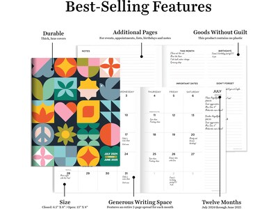 2024-2025 TF Publishing Scandinavian Symbols 6.5" x 8" Academic Monthly Planner, Paperboard Cover, Multicolor (AY25-4212)