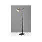 Adesso Lucas 54" Matte Black/Antique Brass Floor Lamp with Cone Shade (4263-01)
