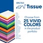 Spectra Deluxe Bleeding Art Tissue, 20" x 30", Purple, 24 Sheets/Pack (P0059072)
