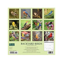 2024 Willow Creek Backyard Birds 12 x 12 Monthly Wall Calendar (32268)