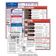 ComplyRight Federal, State and Restaurant (English) Labor Law Poster Set, Rhode Island (E50RIREST)