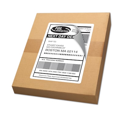 Avery TrueBlock Laser Shipping Labels, 5-1/2" x 8-1/2", White, 2 Labels/Sheet, 500 Sheets/Box (95900)