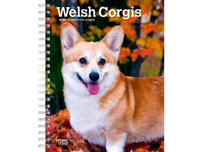 2024 BrownTrout Welsh Corgis 6 x 7.75 Weekly & Monthly Engagement Planner, Multicolor (97819754680