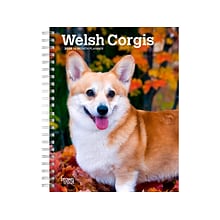 2024 BrownTrout Welsh Corgis 6 x 7.75 Weekly & Monthly Engagement Planner, Multicolor (97819754680