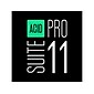 Magix ACID Pro 11 Suite for 1 User, Windows, Download (639191910180)