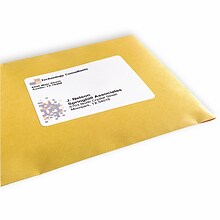 PRES-a-ply Laser/Inkjet Shipping Labels, 3-1/3 x 4, White, 6 Labels/Sheet, 100 Sheets/Box (30604)