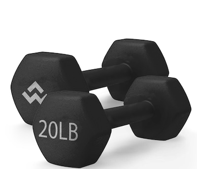 WeCare Fitness Neoprene Coated 20 Lbs Dumbbells for Non-Slip Grip,  2/Set (WFN100008)
