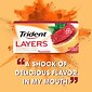 Trident Layers Sugar Free Wild Strawberry & Tangy Citrus Gum, 14 Pieces/Pack, 12/Box (AMC60001)